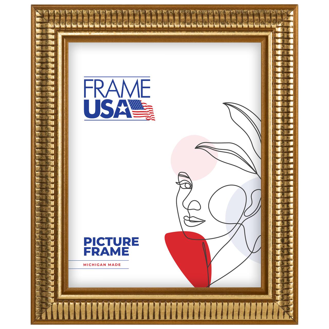 Frame USA American Value 797 Gold Single Image Picture Frame